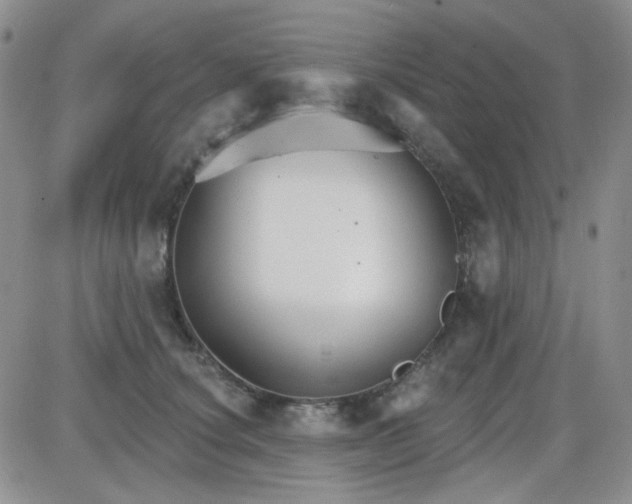 X0000085300660200703231859