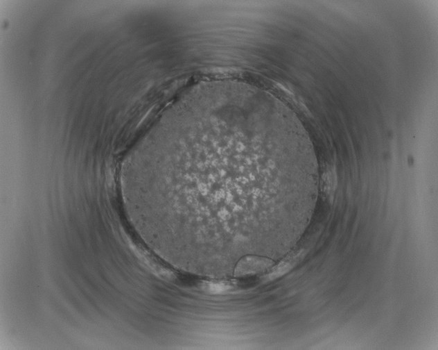 X0000085300662200703231859