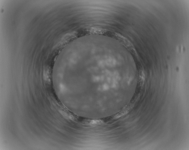 X0000085300663200703231859