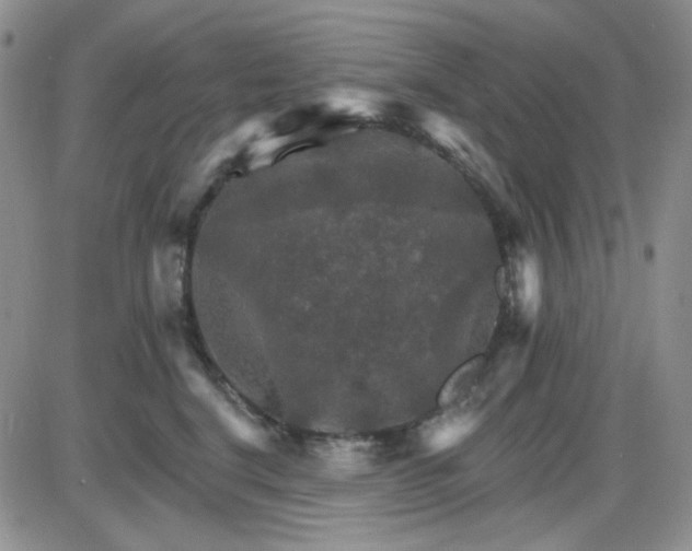 X0000085300664200703231859