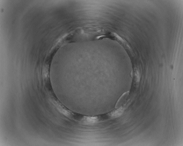 X0000085300665200703231859