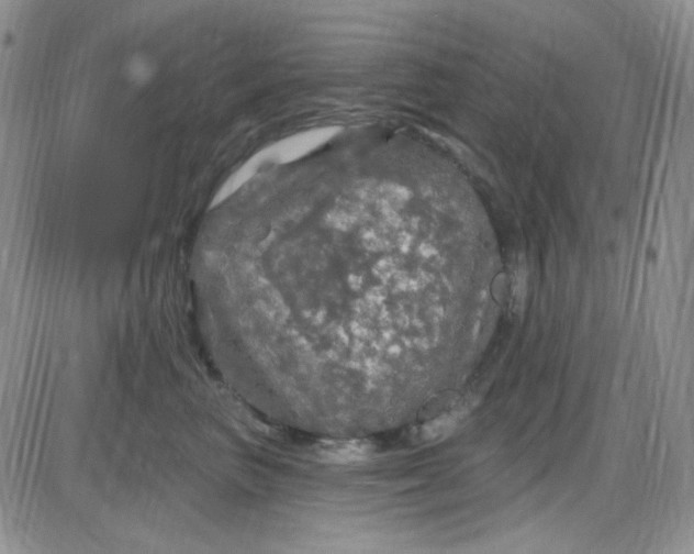 X0000085300667200703231900