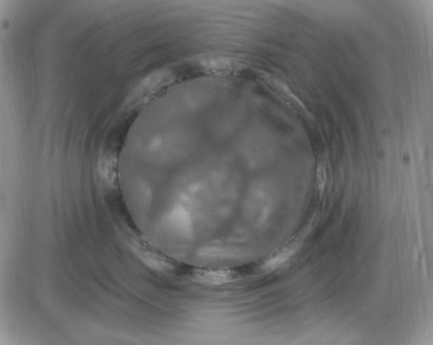 X0000085300671200703231900