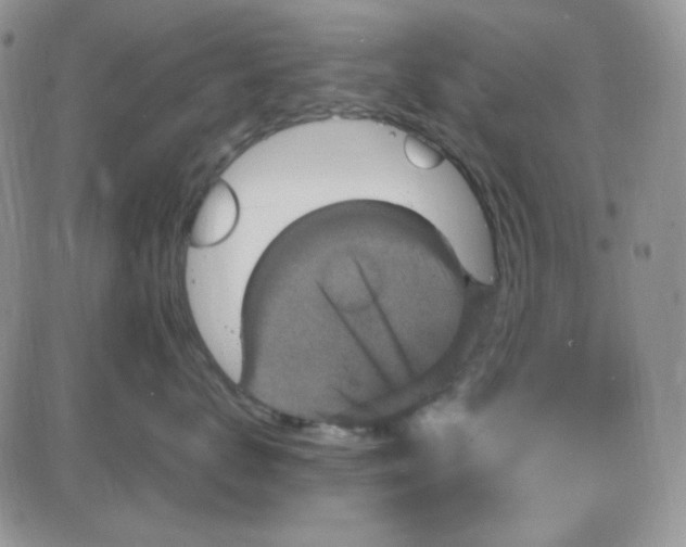 X0000085300672200703231900