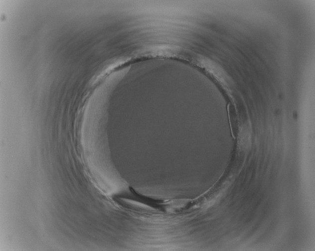 X0000085300673200703231859