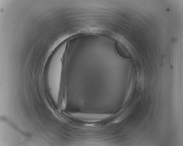 X0000085300674200703231859