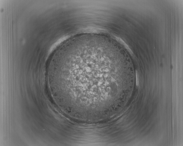 X0000085300675200703231859