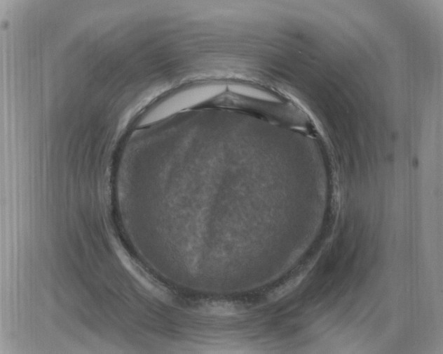 X0000085300677200703231859