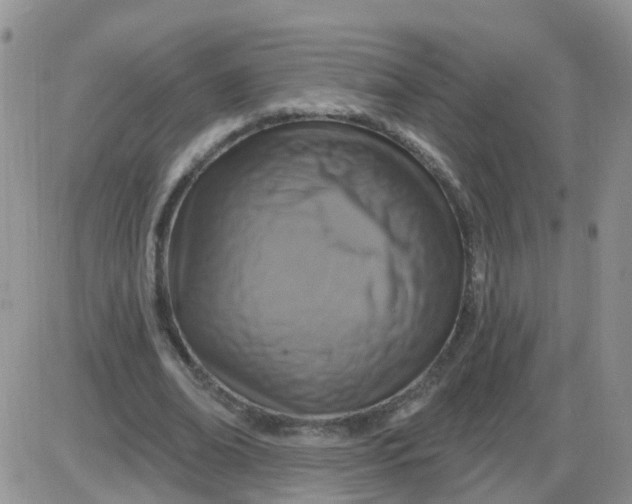 X0000085300678200703231859