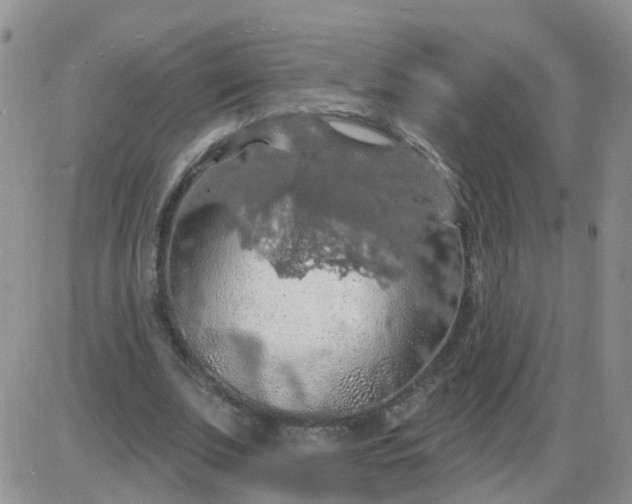 X0000085300679200703231859