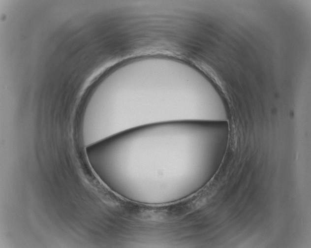 X0000085300680200703231859