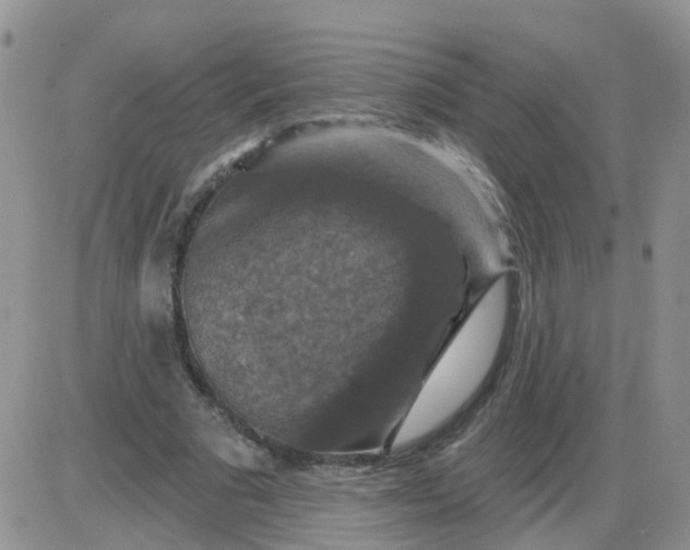 X0000085300681200703231859