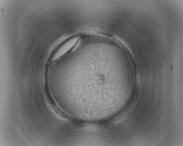 X0000085300682200703231859