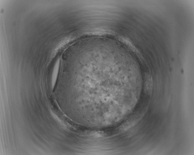 X0000085300683200703231859