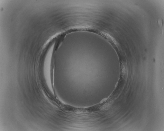 X0000085300684200703231859