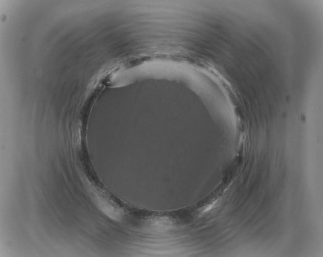 X0000085300685200703231859