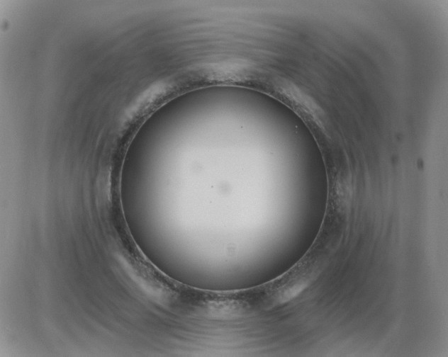 X0000085300686200703231859