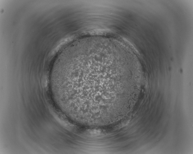 X0000085300687200703231859