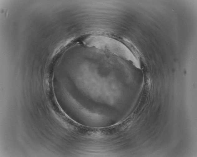 X0000085300688200703231859