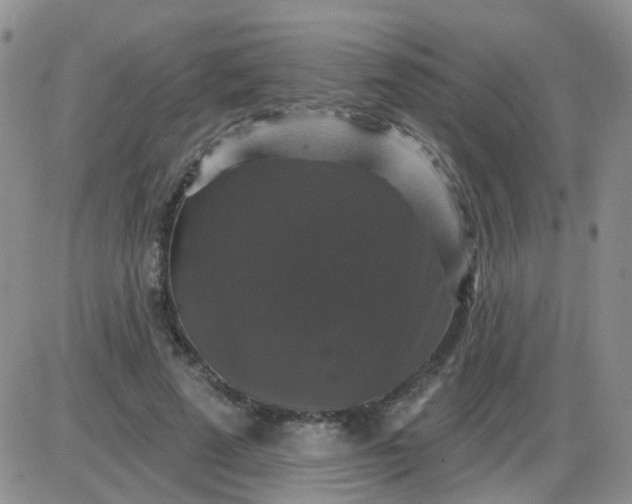 X0000085300689200703231859