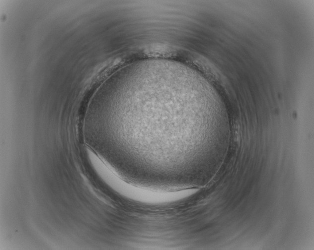 X0000085300690200703231859