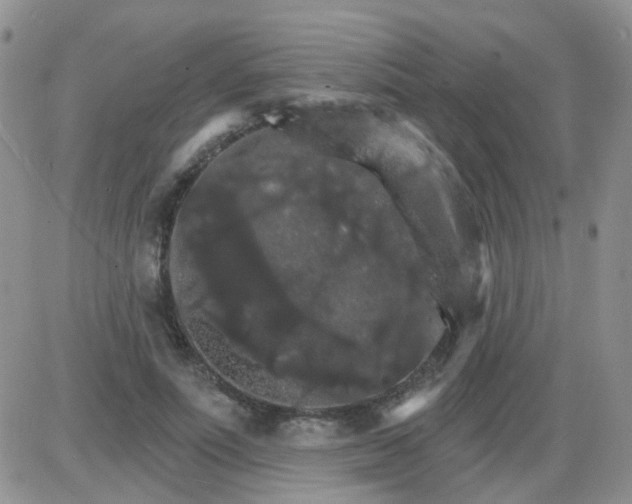 X0000085300691200703231859