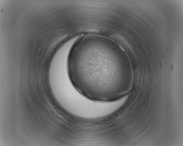 X0000085300692200703231858