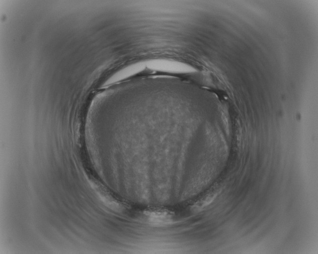 X0000085300693200703231858