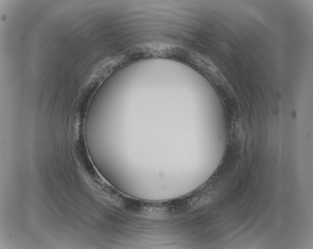 X0000085300694200703231858