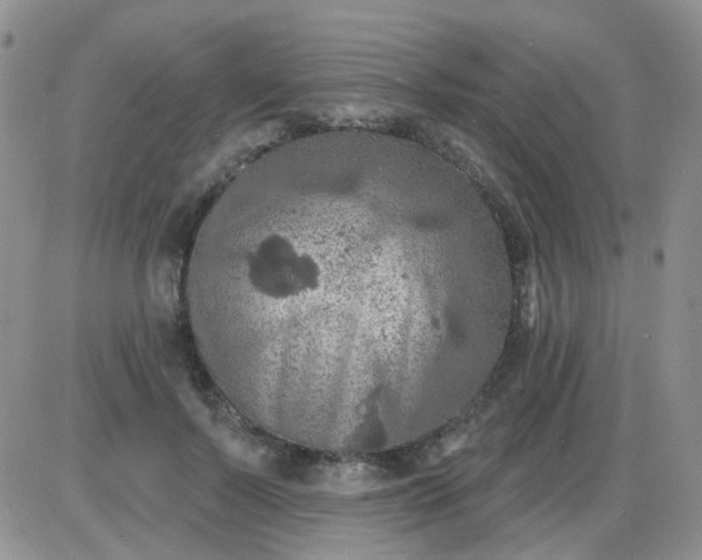 X0000085300695200703231858