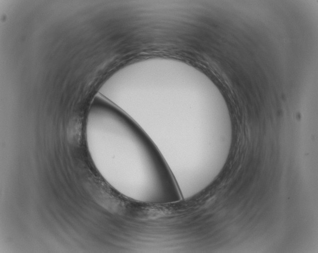 X0000085300697200703231858