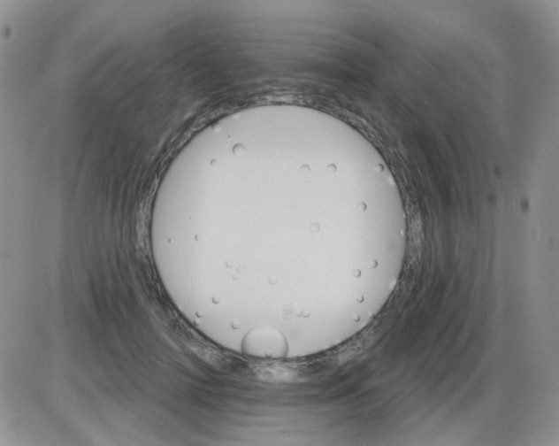 X0000085300698200703231858