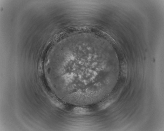 X0000085300699200703231858