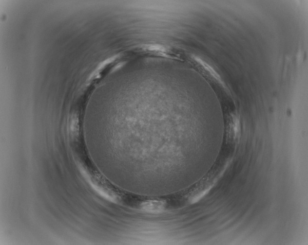 X0000085300700200703231858