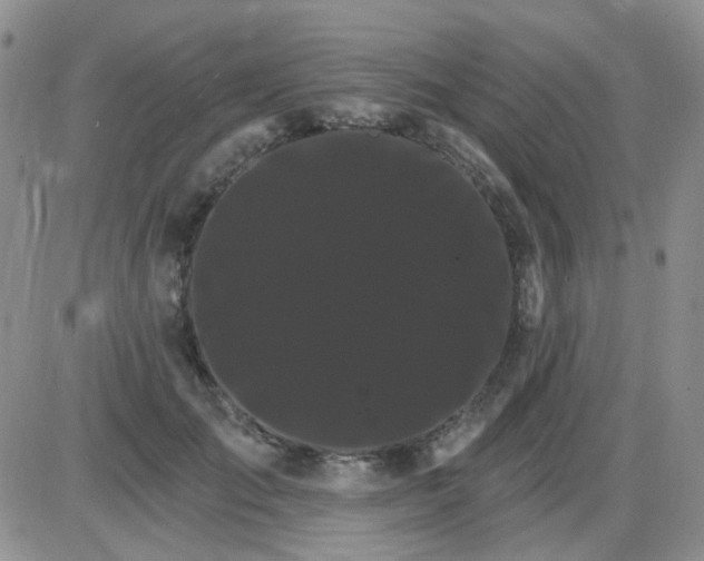 X0000085300701200703231858