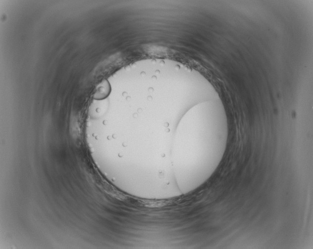 X0000085300702200703231858