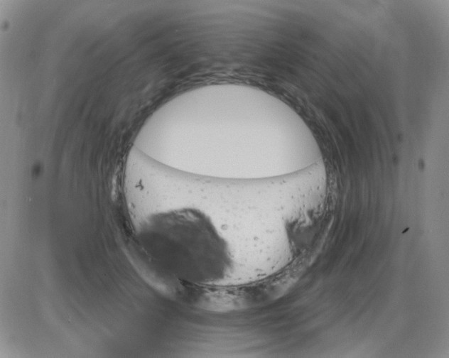 X0000085300703200703231858