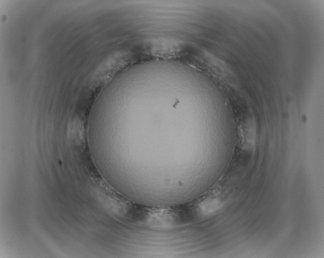 X0000085300705200703231858