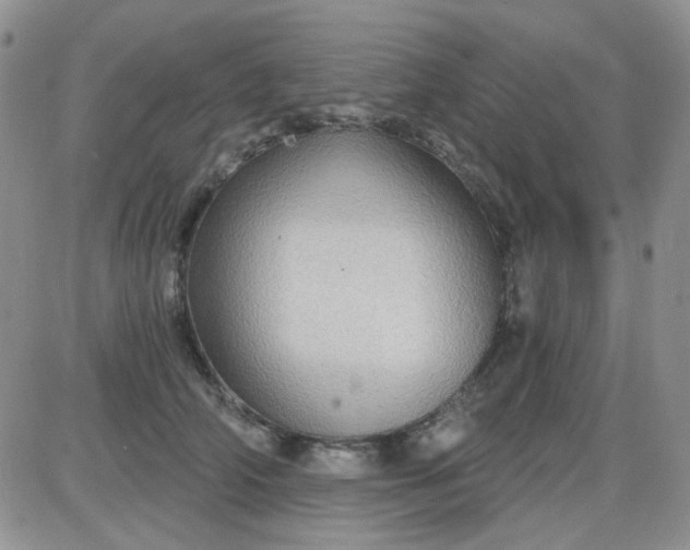 X0000085300706200703231858