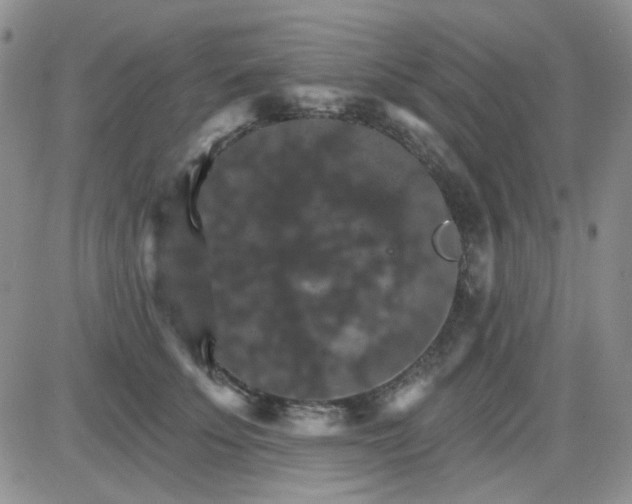 X0000085300707200703231858