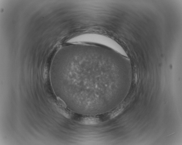 X0000085300708200703231858