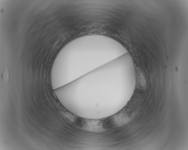 X0000085300709200703231858