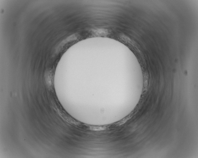 X0000085300710200703231858