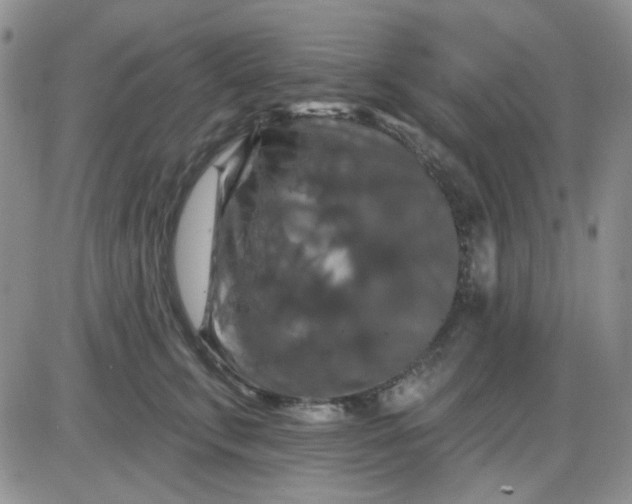 X0000085300711200703231858