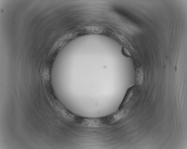 X0000085300713200703231858