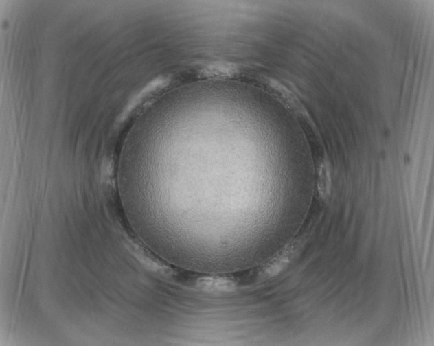 X0000085300714200703231858