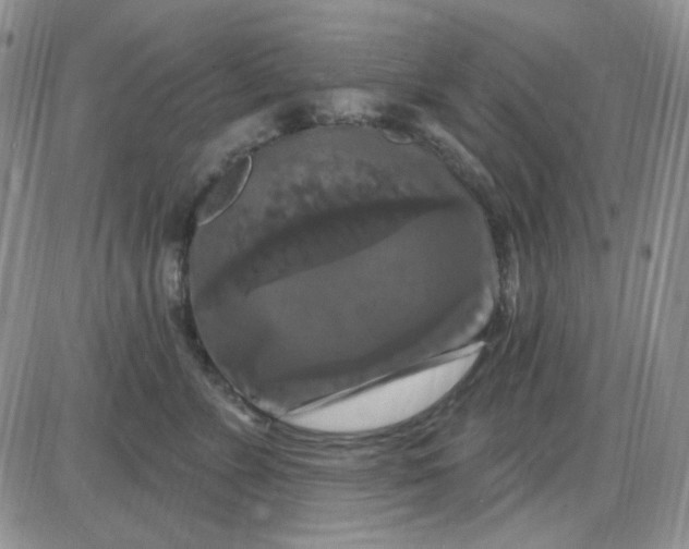 X0000085300715200703231858