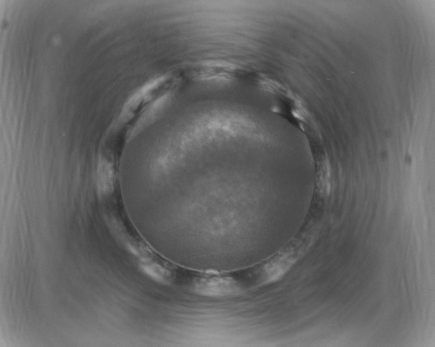 X0000085300716200703231858