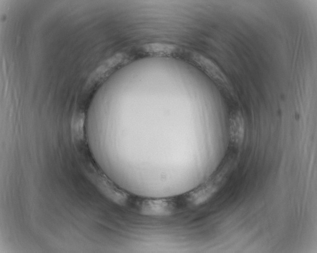 X0000085300717200703231858