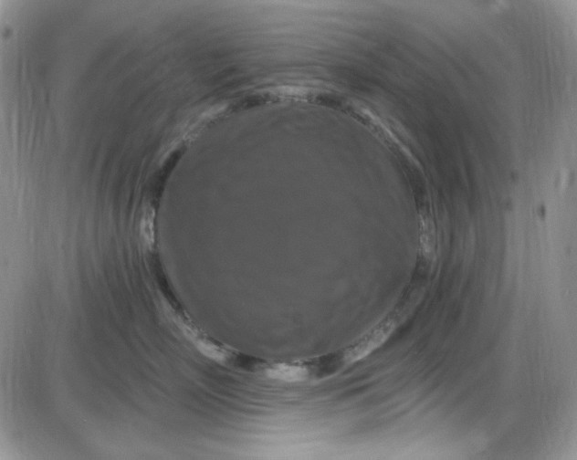 X0000085300718200703231858